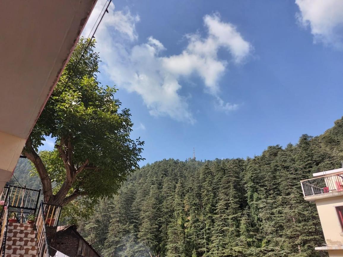 Shimla Pines Homestay Exterior photo